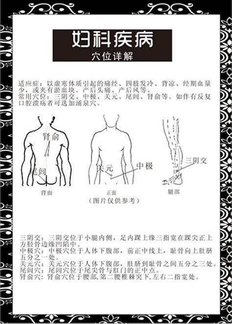 三伏贴位置详细图图片 三伏贴位置详细图图片