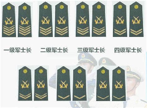 陆军军衔等级肩章排列图片（部队肩章等级排名图片） - 科猫网