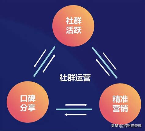B2C电商平台京东简介及发展历程 - 凯奔百科网