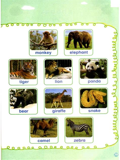 帮宝宝双语识动物的好方法_书城父母版首页_教育_太平洋亲子网