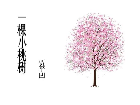 桃树的作文：300~1600字作文赏析 - 花语网