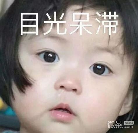表情包呆滞图片