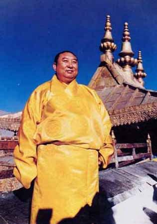 西藏拉萨：雪顿节“展佛” _图片中国_中国网