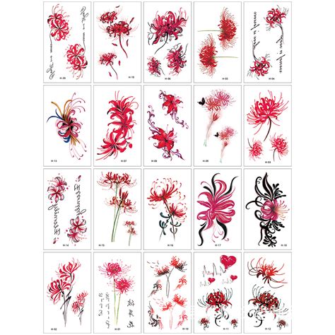 鸢尾花的花语是什么？鸢尾花的寓意和象征-花卉百科-中国花木网
