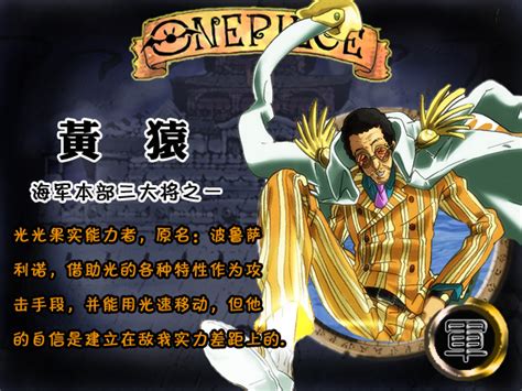 海贼王人物图鉴图片