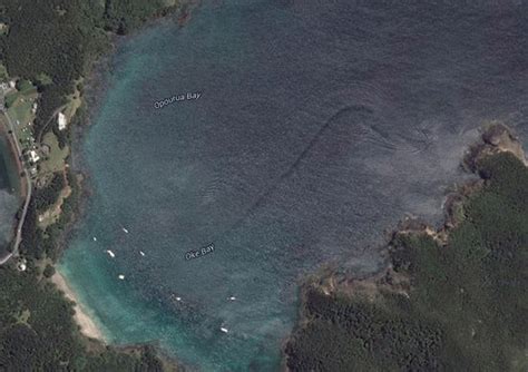 新西兰工程师在谷歌地图发现疑似"海怪"伴流 - 海洋财富网