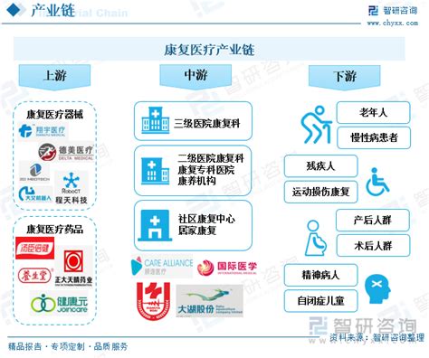 2020年中国康复医疗市场分析报告-行业深度调研与发展趋势研究 - 中国报告网