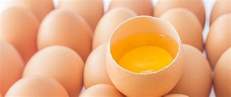 【图】如果鸡蛋清涂脸上有好处吗 鸡蛋的美容效果不错(2)_鸡蛋清涂脸上有好处吗_伊秀美容网|yxlady.com