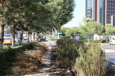 长春高新区：“拆围透绿”换新颜 硅谷大街步步皆景-新闻动态-长春高新技术产业开发区管理委员会
