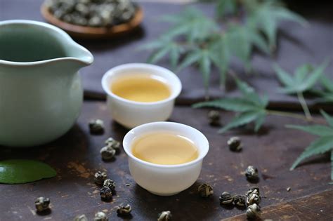 日常好喝的果茶茶包推荐_什么值得买