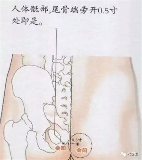 太阳的准确位置图图片