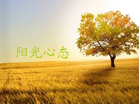 心向阳光图片