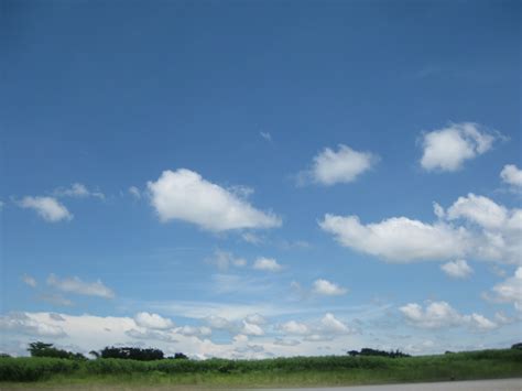 Free photo: Clear Sky - Autumn, Clear, Dry - Free Download - Jooinn