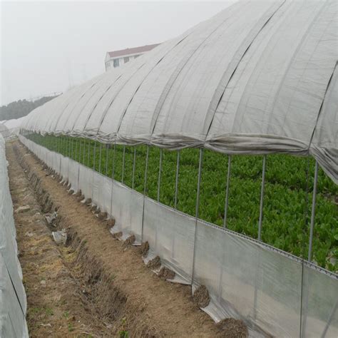 温室大棚蔬菜水肥一体化应用案例分析_灌溉