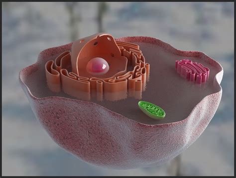 三维细胞结构演示动画|生物图片与动画|生物软件网