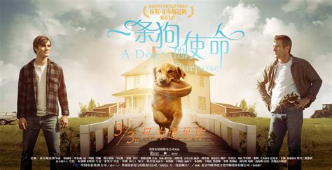 《一条狗的使命》发终极海报 萌宠贝利四世轮回 - 中国电影网