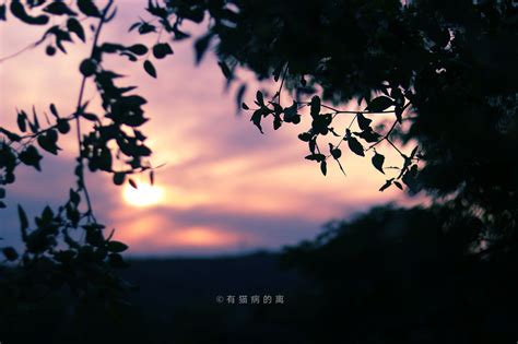 【秋日美景摄影图片】黔灵湖风光摄影_太平洋电脑网摄影部落