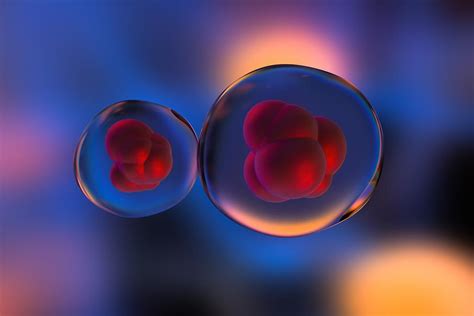 异体干细胞治疗糖尿病临床研究进展-杭吉干细胞科技