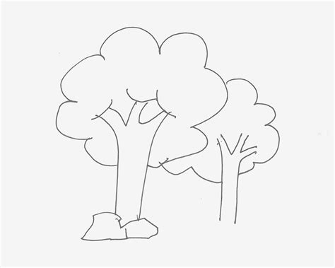 怎么画树状图-百度经验