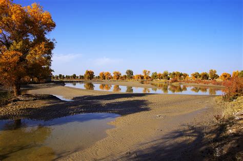 新疆库尔勒孔雀河_库尔勒旅游景点_新疆旅行网