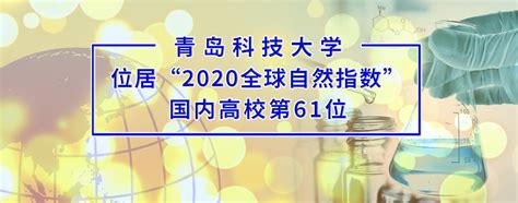 研究报告 | 清华大学：2020数字政府发展指数报告