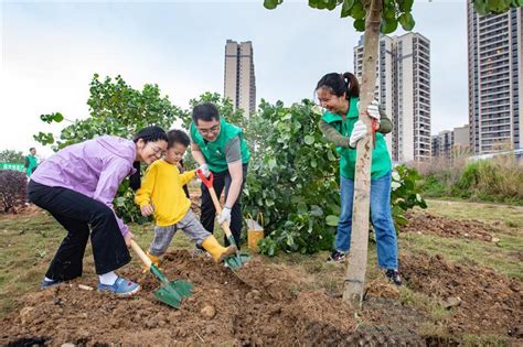 广州市白云区开展义务植树活动，助推绿美广东生态建设|植树|广州市|广东省_新浪新闻