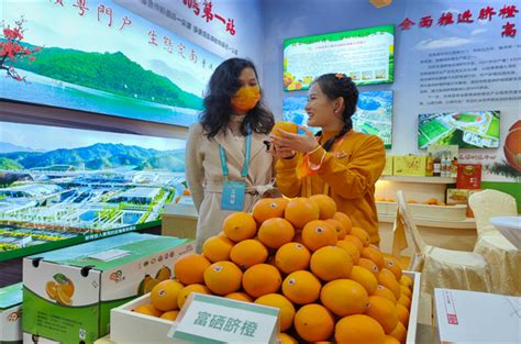 江西赣州：赣南脐橙采摘上市-人民图片网