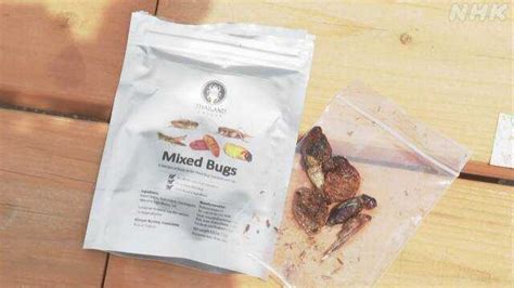 日本现昆虫零食自动售货机 售卖蟋蟀粉蛋白棒等物品