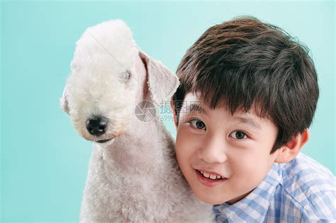 童年小男孩和宠物狗高清图片下载-正版图片501922103-摄图网