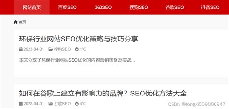 seo具体怎么优化（网站优化有哪些技巧）-8848SEO