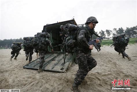 高清:韩国举行年度 海军陆战队军演--军事--人民网