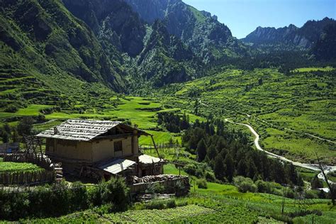 甘南舟曲“拉尕山” 藏语意思是“神仙喜爱的地方”_甘肃频道_凤凰网