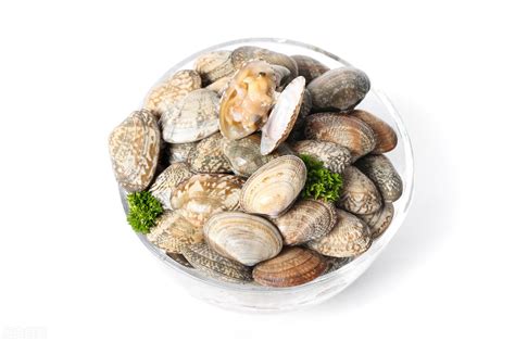 贝壳怎么炒好吃又简单，多加一步，贝壳开口入味，鲜香味美，很好吃！ | 说明书网