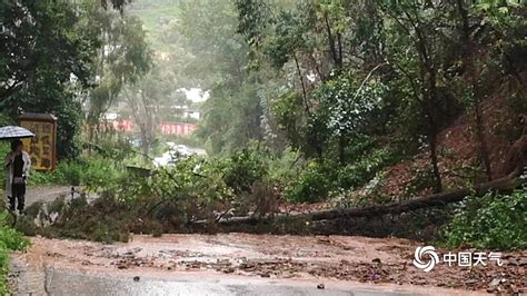 雨势强！云南永胜降大暴雨致多地受灾-图片频道