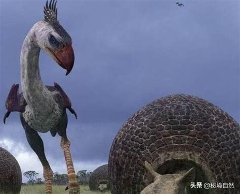 骇鸟(史上最大的鸟类骇鸟，你知道怎么灭绝的吗？) - 【爱喜匠】