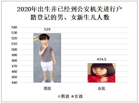2020年中国户籍登记新生儿户数量、登记姓氏及姓氏选取情况分析[图]_智研咨询