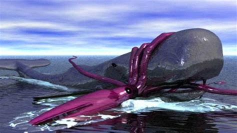 北冰洋巨型章鱼捕食大白鲨，海洋霸主毫无反击之力被吃掉_腾讯视频