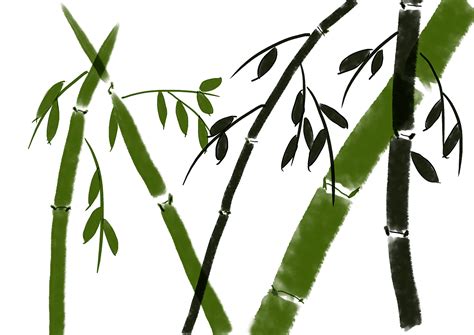 国画竹子的绘画技法，详细实用！|竹叶|侧锋|竹子_新浪新闻