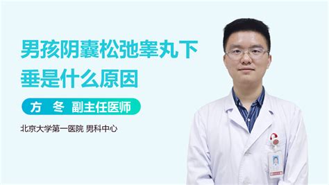 睾丸下垂图片