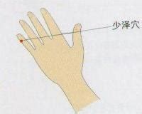 少泽的准确位置图图片