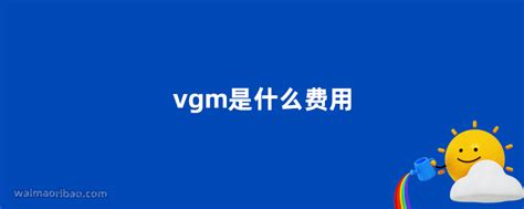 vgm是什么费用 - 外贸日报