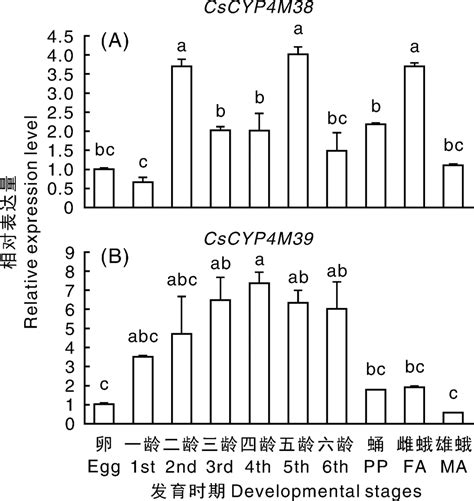二化螟两种P450基因 CYP 4 M 38和 CYP 4 M 39的时空表达分析