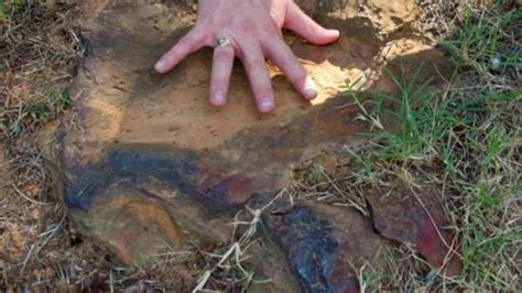 美国犹他州的米尔峡谷1.12亿年恐龙脚印化石遭施工队破坏 - 化石网