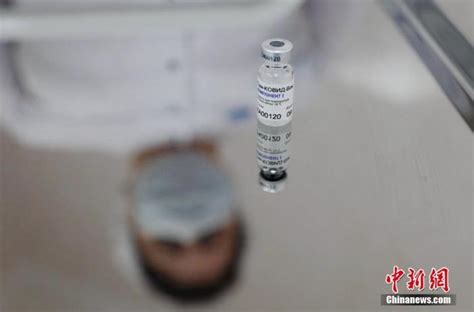 俄罗斯专家：冠状病毒无法嵌入人类基因组 - 科技 - 新湖南