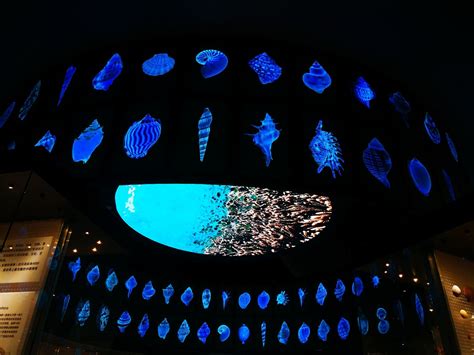 2024天津国家海洋博物馆门票多少钱（附开放时间+游览介绍）|国家海洋博物馆|天津海洋博物馆-墙根网