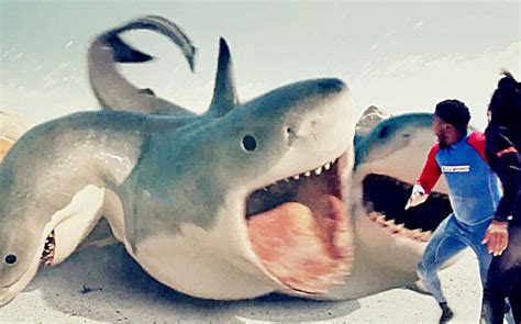《夺命六头鲨》-高清电影-完整版在线观看