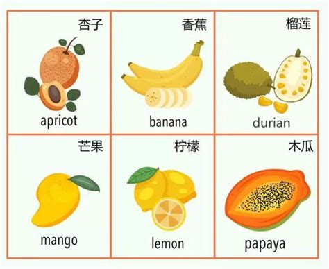 水果大全500种,水果名称大全(第19页)_大山谷图库