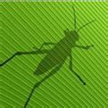 Grasshopper汉化版安装包及安装教程-巅峰下载