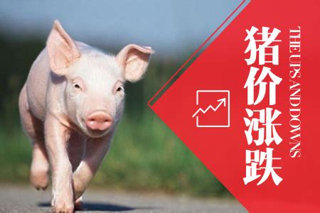 今日猪价 | 2022年6月29日全国猪价行情一览表！