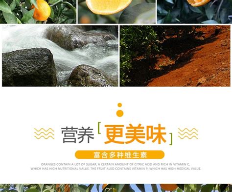 眉山：推进文旅高质量发展 擦亮好耍在眉山名片_四川在线